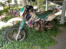 IMAG4029.jpg