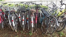 RIMG0463.jpg