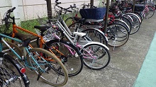 RIMG0471.jpg