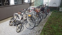 RIMG2634.jpg